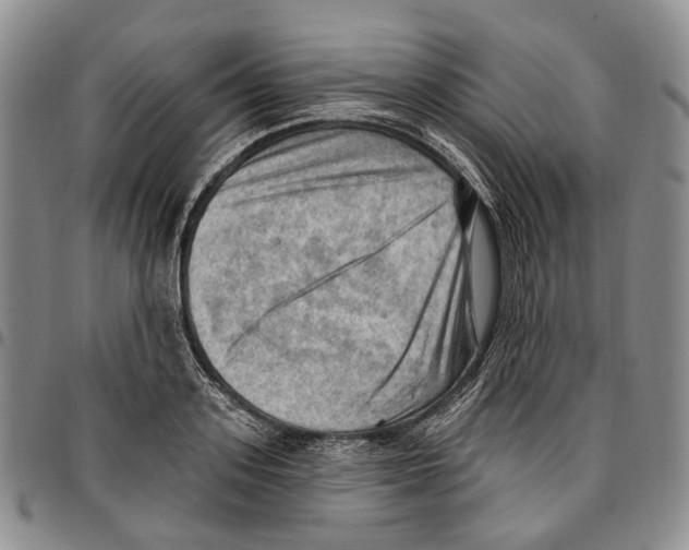 X0000096680939200803041237