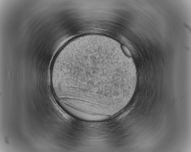 X0000096680940200803041237