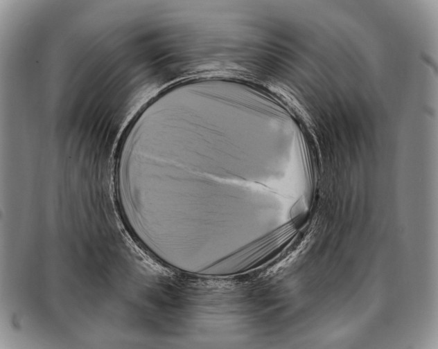X0000096680941200803041237