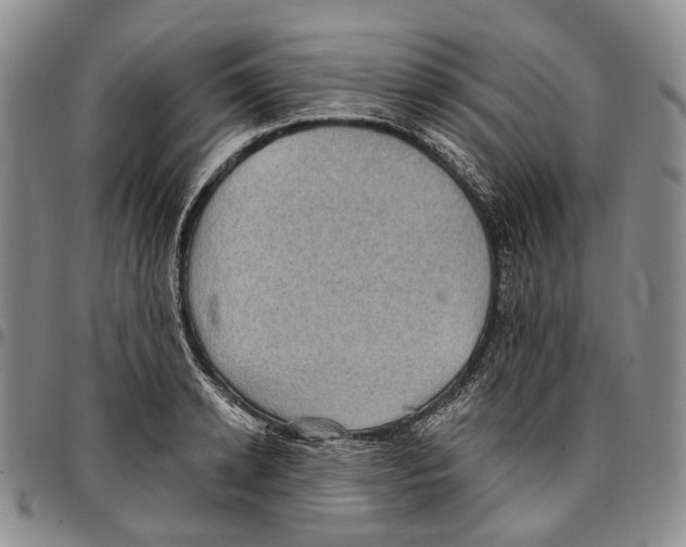 X0000096680942200803041237