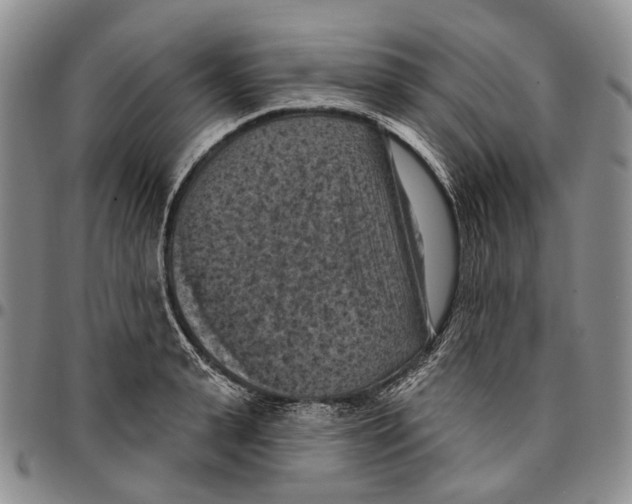 X0000096680943200803041237