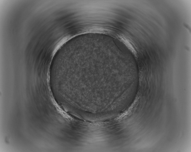 X0000096680944200803041237