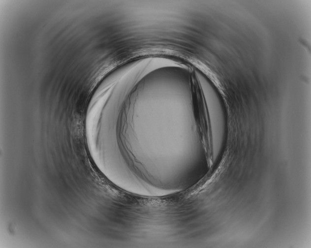 X0000096680945200803041237