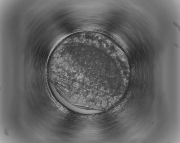 X0000096680948200803041237
