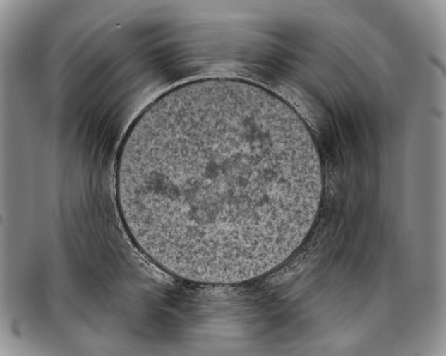 X0000096680950200803041237