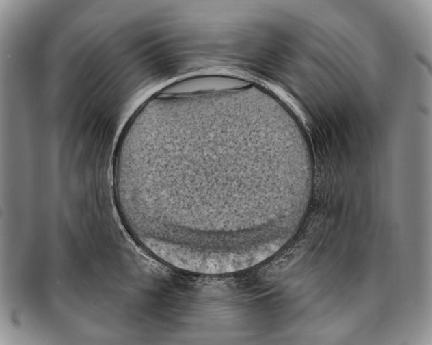 X0000096680951200803041237