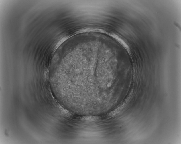 X0000096680953200803041237