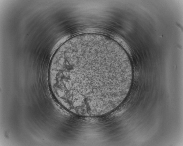 X0000096680954200803041237