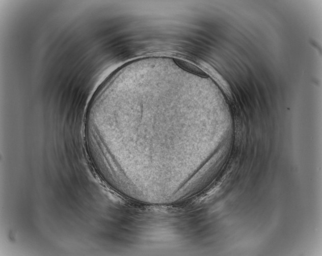 X0000096680956200803041238