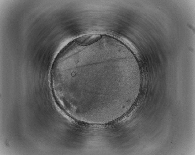 X0000096680958200803041238