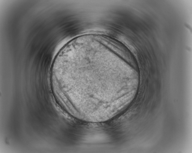 X0000096680960200803041238