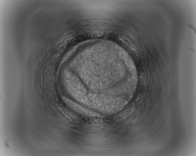 X0000096680961200803041237