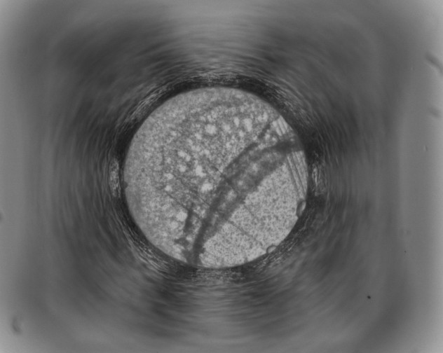 X0000096680963200803041237