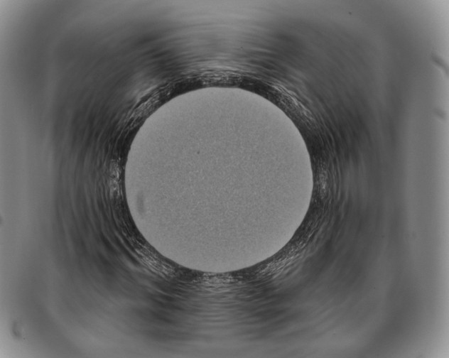 X0000096680964200803041237