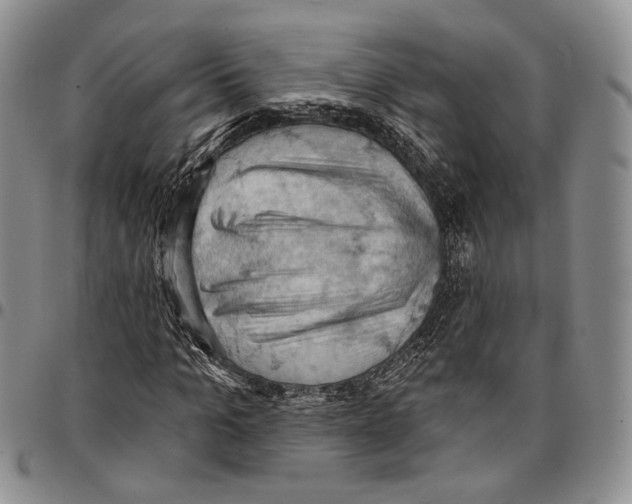 X0000096680965200803041237