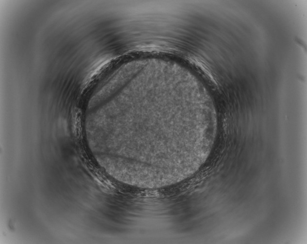 X0000096680968200803041237