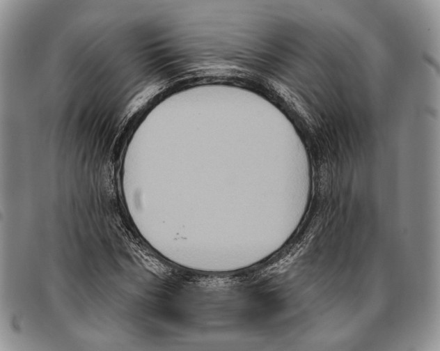 X0000096680970200803041237