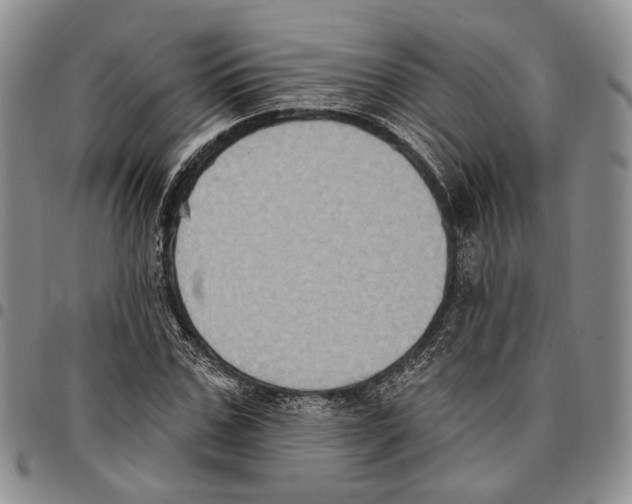 X0000096680971200803041237
