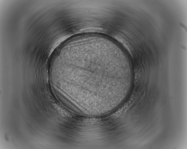 X0000096680973200803041237