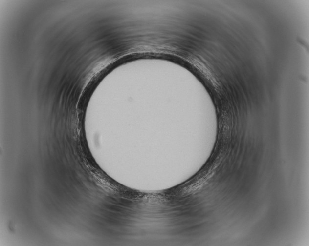X0000096680974200803041237