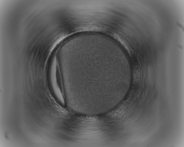 X0000096680975200803041237