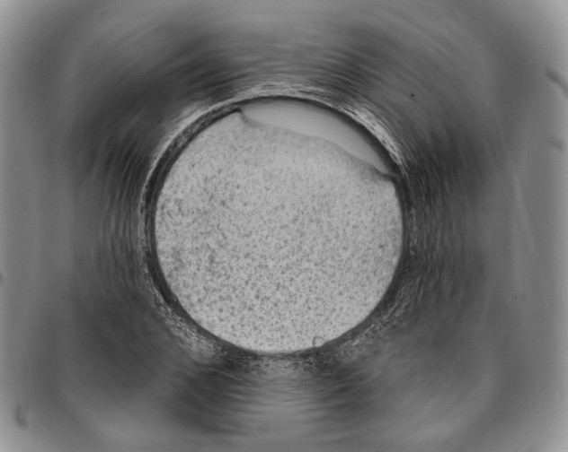 X0000096680976200803041237