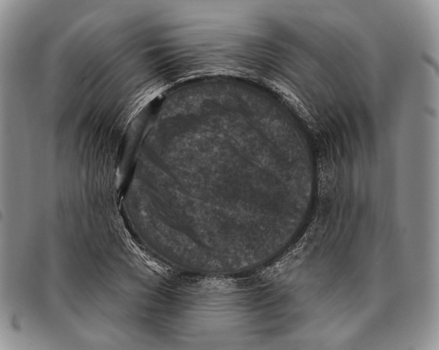 X0000096680977200803041237