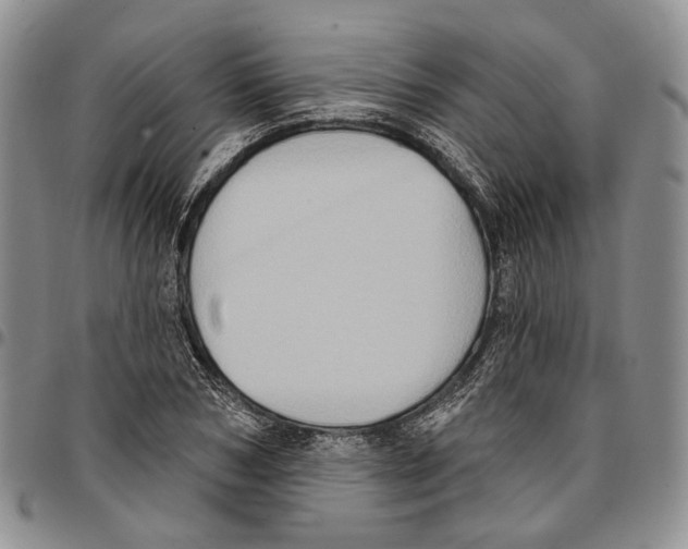 X0000096680978200803041237
