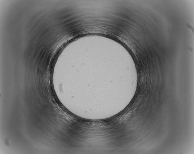 X0000096680979200803041237