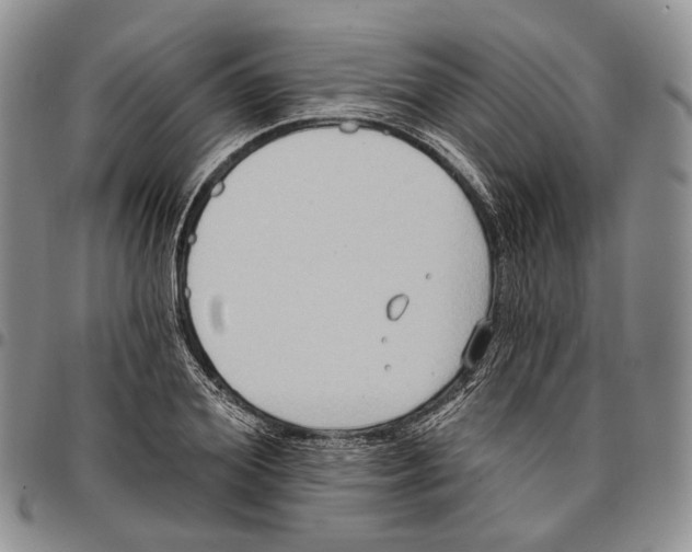 X0000096680980200803041237
