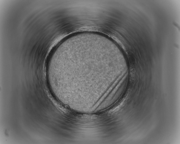 X0000096680981200803041237