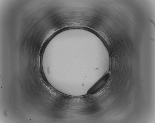 X0000096680982200803041237