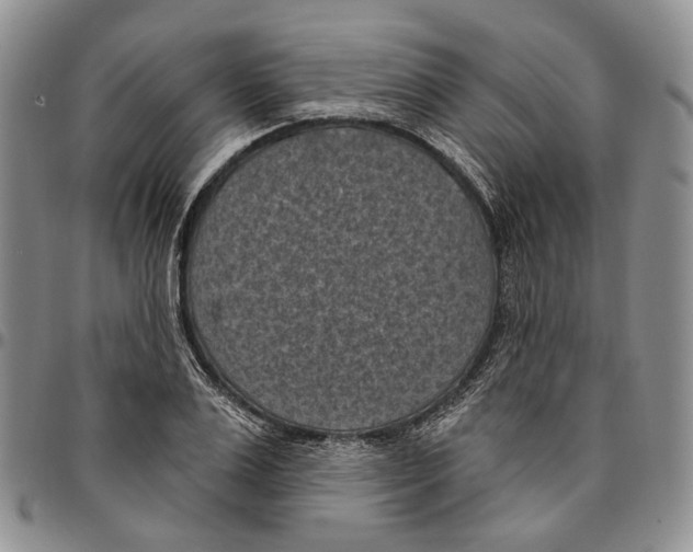 X0000096680983200803041237