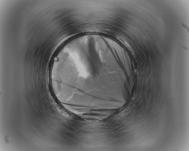 X0000096680984200803041237