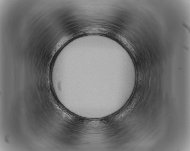 X0000096680986200803041237