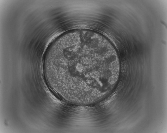 X0000096680987200803041237