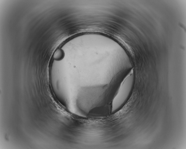 X0000096680988200803041237