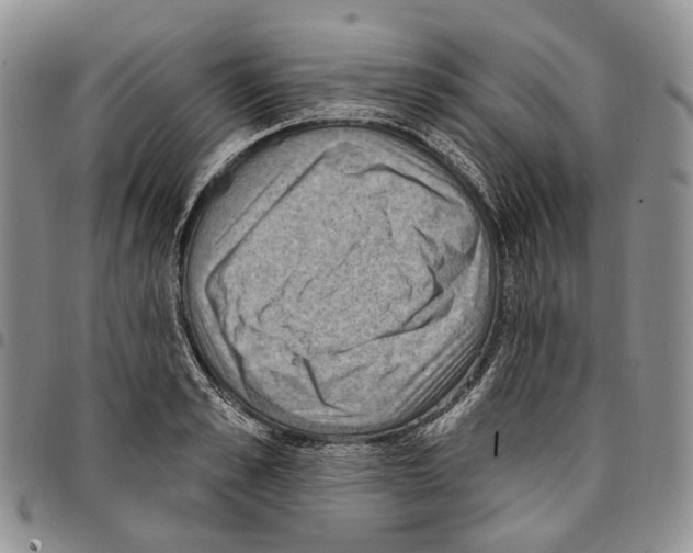 X0000096680989200803041236