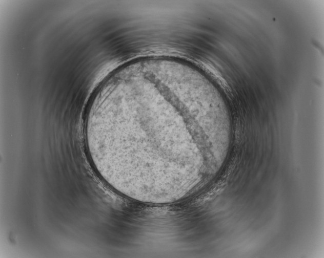 X0000096680990200803041236