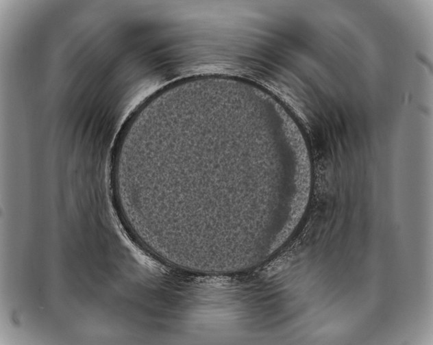 X0000096680991200803041236