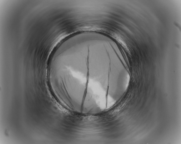 X0000096680992200803041236