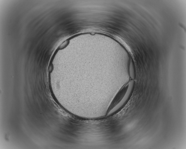 X0000096680996200803041236