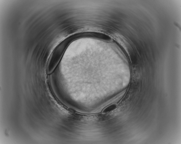 X0000096680997200803041236