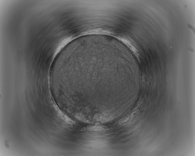 X0000096680998200803041236
