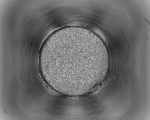 X0000096681000200803041236