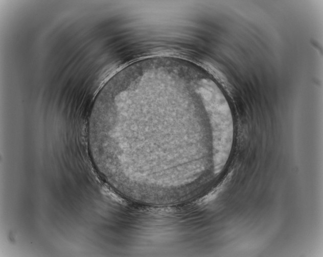 X0000096681001200803041236