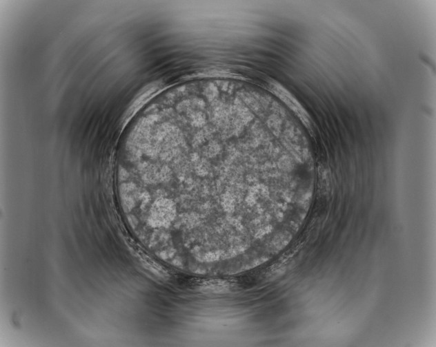 X0000096681002200803041236