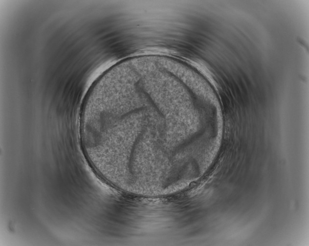 X0000096681003200803041236