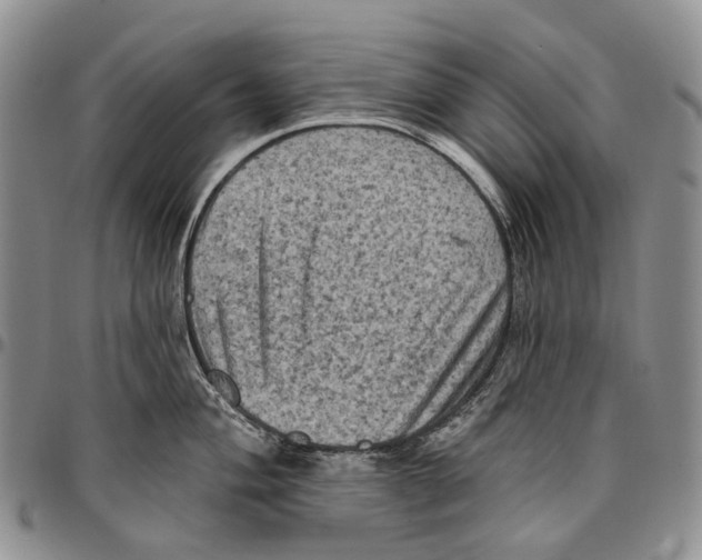 X0000096681004200803041236
