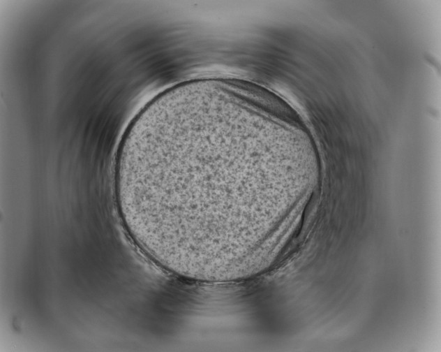 X0000096681008200803041236